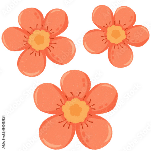 Orange Sakura Flowers Symbolize of Prosperity for Chinese New Year
