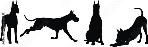 Four black silhouettes of Great Dane dogs in various poses on a white background