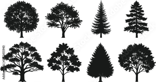 Collection of eight black tree silhouettes on white background vector