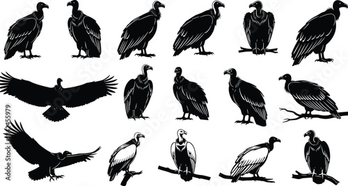 Collection of Black Vulture Silhouettes in Various Poses bird white background