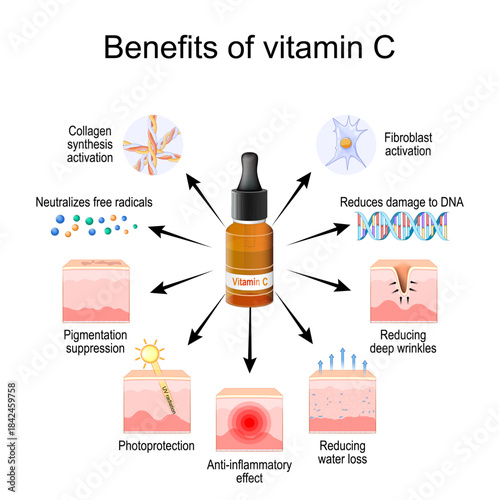 Vitamin C serum. Effects on Human Skin