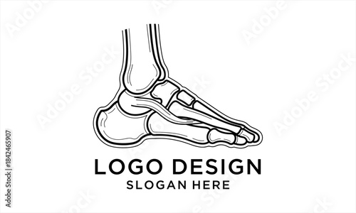 Detailed Anatomical Illustration of Human Foot Bones.