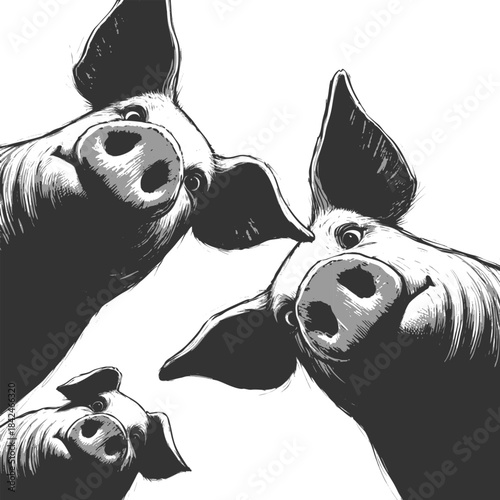 playful pigs peeking down with big eyes and snouts in a circular arrangement sketch engraving generative ai vector illustration. Scratch board imitation. Black and white image.