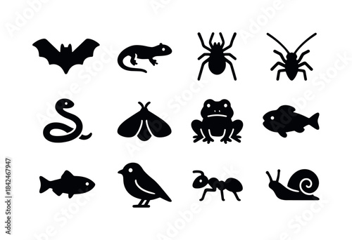 Cave Creatures Icons. Cave Creatures. Solid icon set of Cave Cre