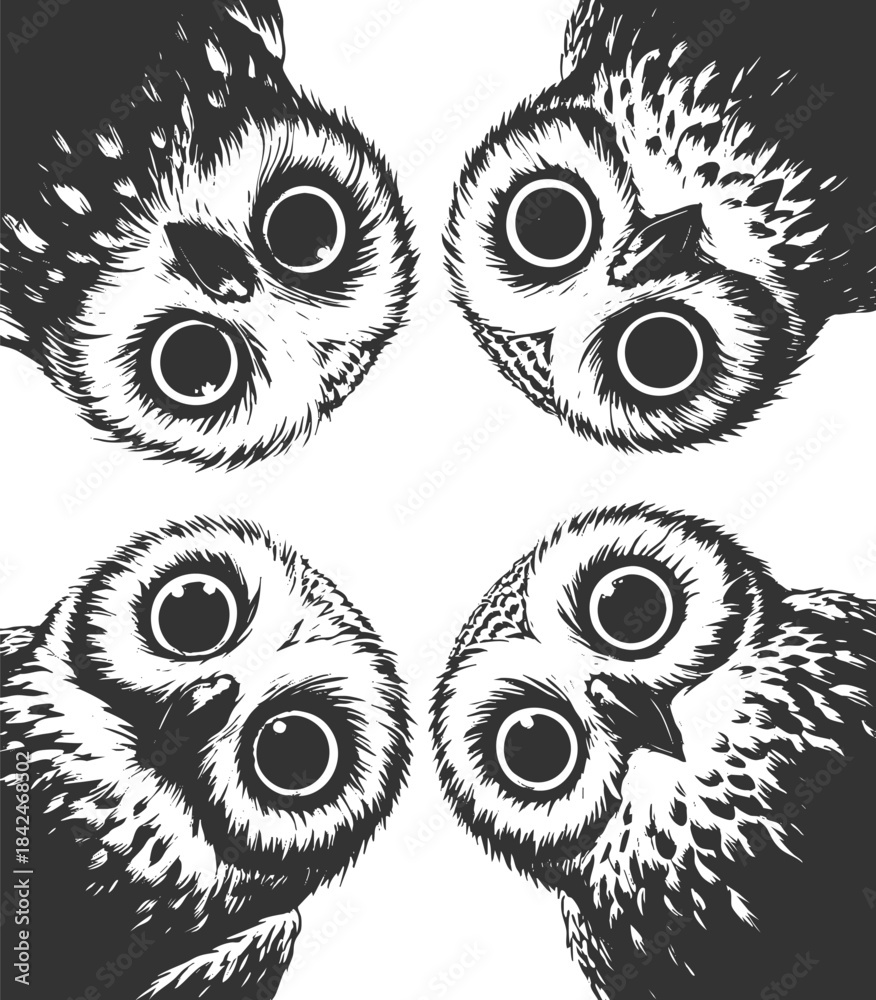 Obraz premium wide-eyed owls peeking downward with expressive faces sketch engraving generative ai vector illustration. Scratch board imitation. Black and white image.
