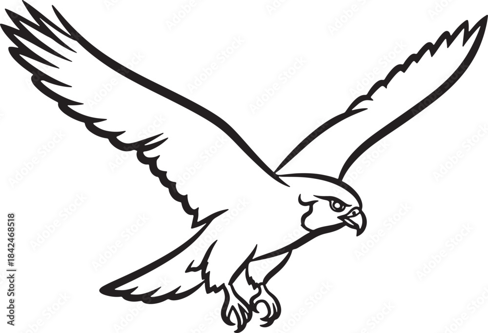 Obraz premium Black outline illustration of a falcon in flight hawk
