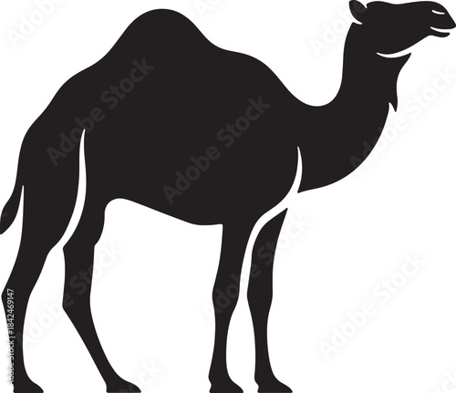 Black silhouette of a dromedary camel on white background