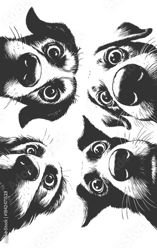 dogs looking down curiously in a circular formation with expressive eyes and noses sketch engraving generative ai vector illustration. Scratch board imitation. Black and white image.