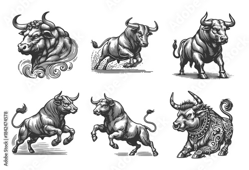 bull in various powerful poses Set collection bundle sketch engraving generative ai vector illustration. Scratch board imitation. Black and white image.