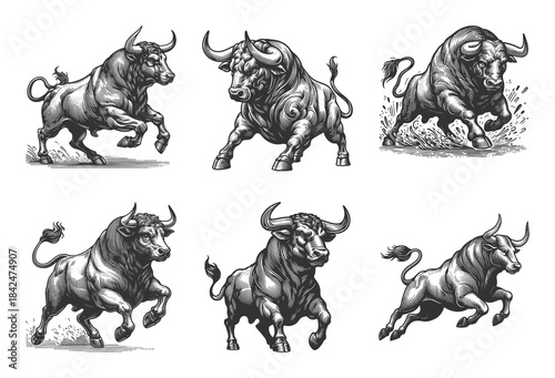 bull in various powerful poses Set collection bundle sketch engraving generative ai vector illustration. Scratch board imitation. Black and white image.