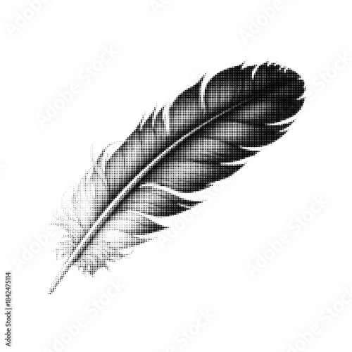 Halftone feather illustration in black and white. Vintage dot texture plume isolated on white background, minimal graphic design element for print, branding, tattoo, poster or editorial use.