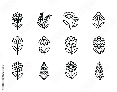 Fall Bee Flowers. Fall bee flowers. Line icon set of fall bee fl