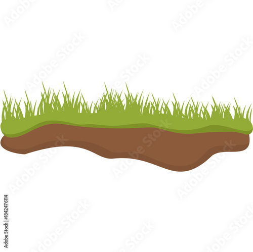 Patch of green grass and soil