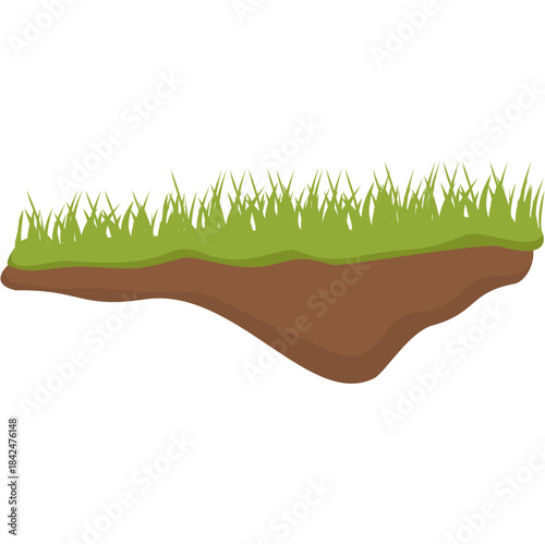 Patch of green grass and soil