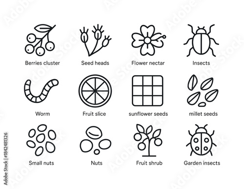 Bird Food Icons. Bird Food Sources. Line icon set of Bird Food S