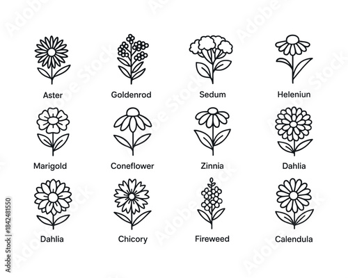 Fall Bee Flowers. Fall bee flowers. Line icon set of fall bee fl