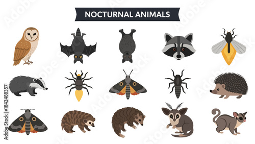 Collection of various cartoon nocturnal animals arranged in three rows