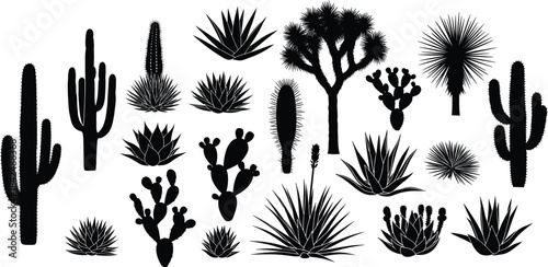 Desert cactus silhouette collection, succulent plant vector, botanical shape variety, flat black illustration, cad drawing flat vector illustration