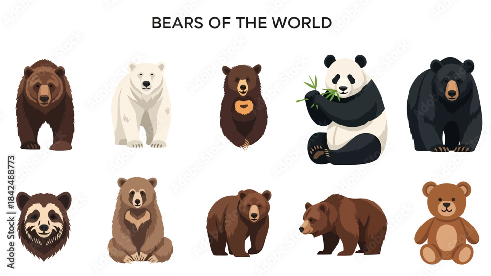 Fototapeta premium Ten stylized illustrations of various bear species and a teddy bear