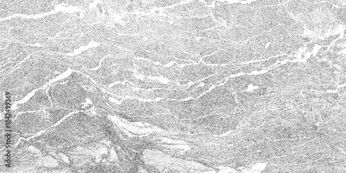 White and gray marble illustration with gritty stipple structure. Distressed stone backdrop, abstract layouts. Strong grunge overlay.