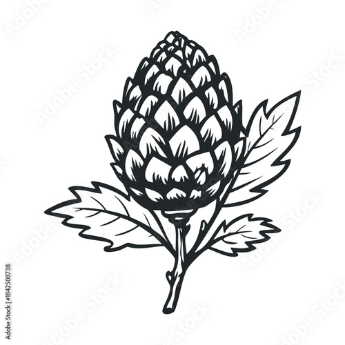 Stylized hop cone plant with lush leaves on a stem, rendered in a traditional linocut style, perfect for brewing industry branding, craft beer labels, or naturethemed graphic projects.