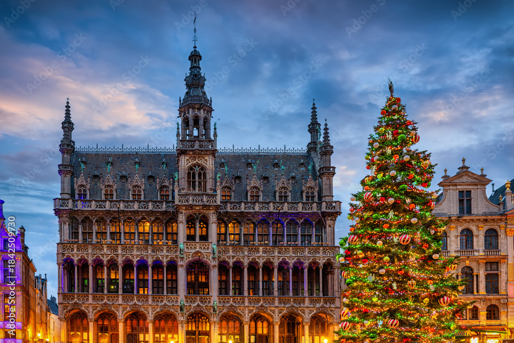 Fototapeta premium A beautiful decorated Christmas Tree at the Grand Place in Brussels, Belgium, during dusk for the festive season
