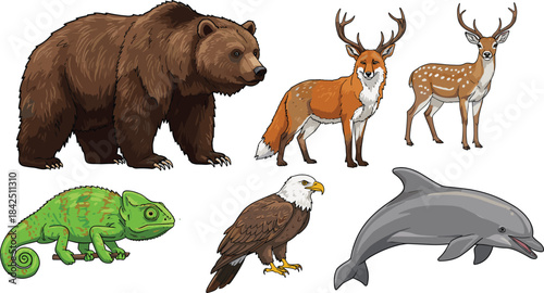 Bear, fox, deer, chameleon, eagle, dolphin, cartoon animals, wildlife illustration, forest, ocean, biodiversity, nature, fauna, species, cute, colorful, habitat, mammal, reptile, bird