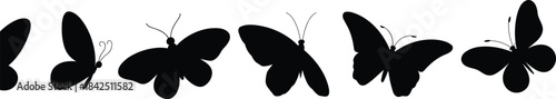 Butterfly silhouettes, insect vector, wing shapes, black icons, species diversity, nature clipart, flying insects, entomology art, outline design, decorative elements