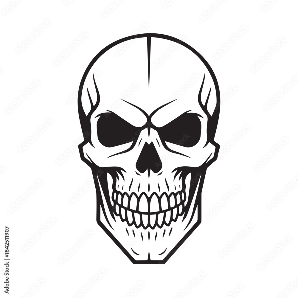 Fototapeta premium human skull vector illustration