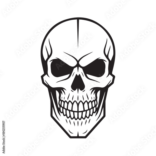 human skull vector illustration