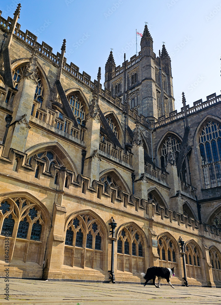 Fototapeta premium Bath Abbey with Black and White Dog
