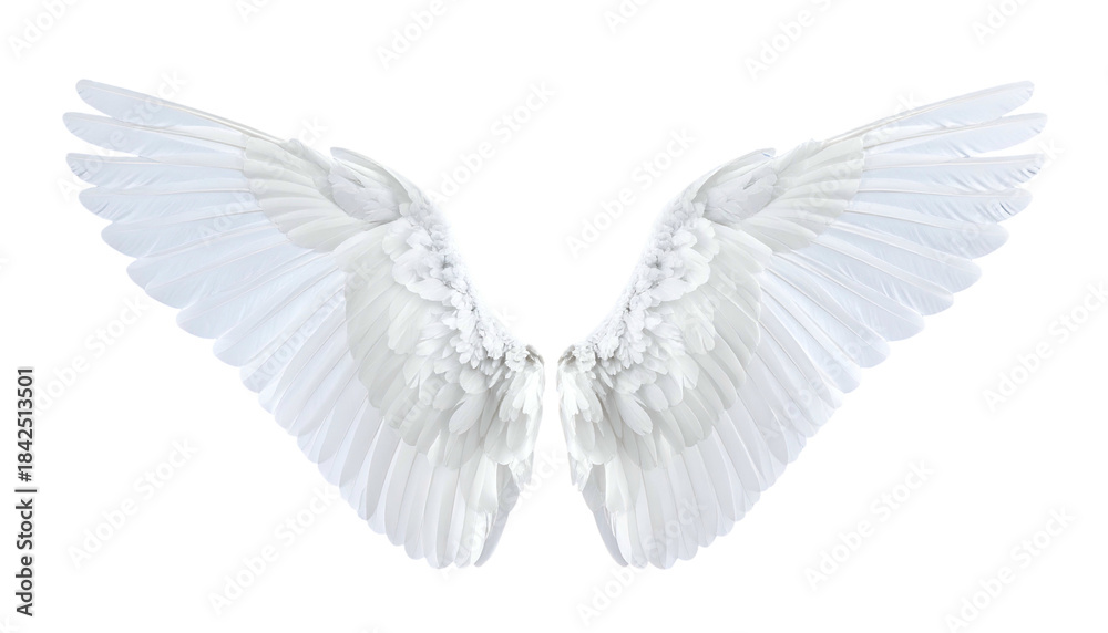 Fototapeta premium Two large, open white wings with detailed feather textures set against a black background