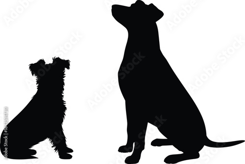 Dog silhouettes, sitting dogs, furry dog, short-haired dog, pet posture, black vector, breed contrast, animal pose, canine art, icon