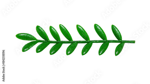 Green leaf branch isolated on transparent background, fresh foliage with glossy texture, botanical element for nature, eco, or organic design, symbolizing growth and tranquility
