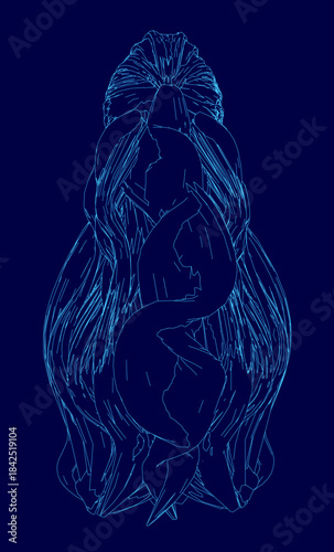 A female contour drawing with flowing long hair in blue on a dark blue background.
