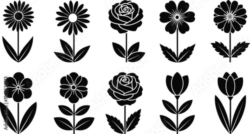 Black floral silhouette collection featuring diverse blooming flowers, elegant botanical shapes, decorative petals and leaves, perfect for vector illustration, design elements, and creative artwork