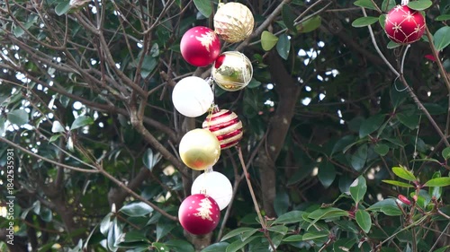 木に飾ったクリスマスのオーナメント