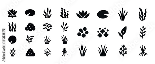 Black silhouette botanical icons: diverse aquatic plants collect