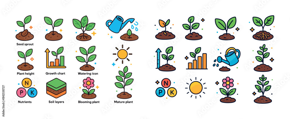 Obraz premium Growth stages of plants: seed sprout to mature plant