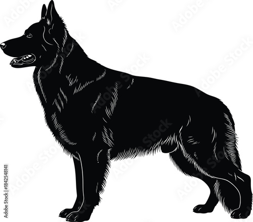 German Shepherd Dog Silhouette Vector