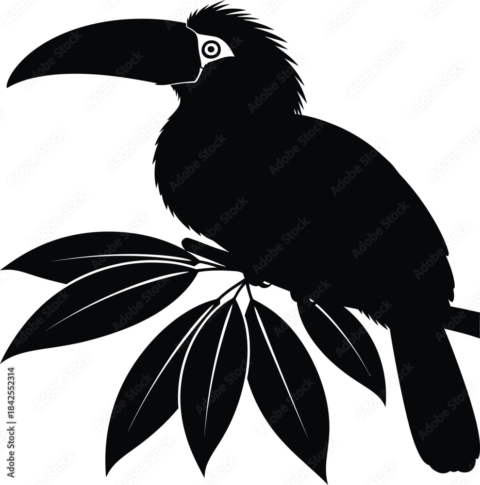 Fototapeta premium Toucan perched on tree branch silhouette illustration