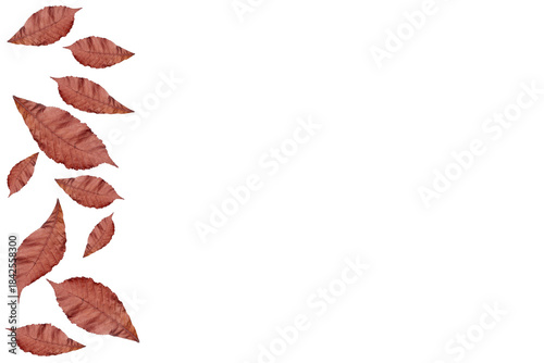 Barra lateral de hojas secas 