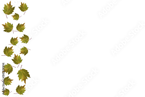 Barra lateral de hojas secas 