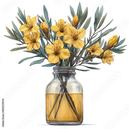 watercolor of Carolina Jessamine In A Vase, vector, isolated on a white background.