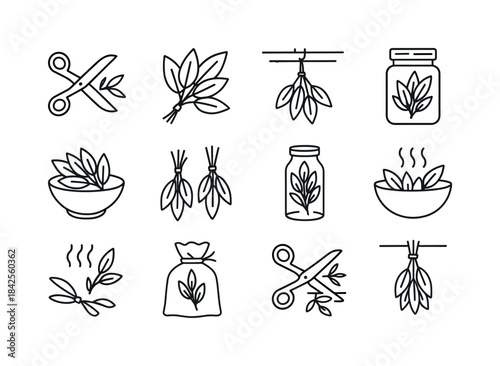 Herb Icon Set. Herb harvesting. Line icon set of Herb harvesting