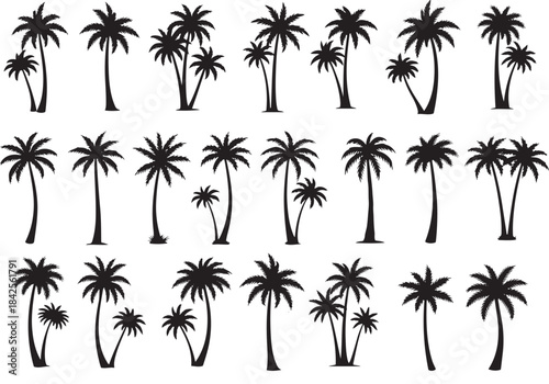 Collection of diverse black palm tree silhouettes on a white background
