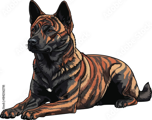 Kai Ken dog lying down relaxed alert head raised pose