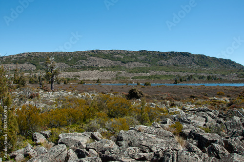 Fotografia Tasmanian alpine habitat featuring lake water, rocks and Pencil Pine forest, strong for environmental storytelling