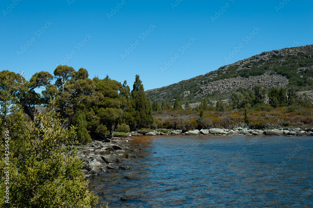 Naklejka premium Alpine lake habitat at Pine Lake with Pencil Pine forest and rocky terrain, strong asset for biodiversity communication.