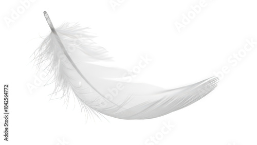 A single white feather isolated against a black background, emphasizing lightness and fragility isolated on transparent background